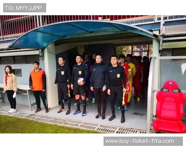 足球裁判的工资揭秘：收入水平与职业发展前景分析